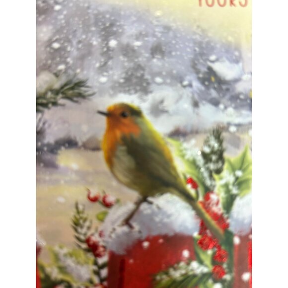 Christmas Cards 2 Boxes 14 cards Matching Envelopes & Seals Holiday Robin Winter - Picture 2 of 9